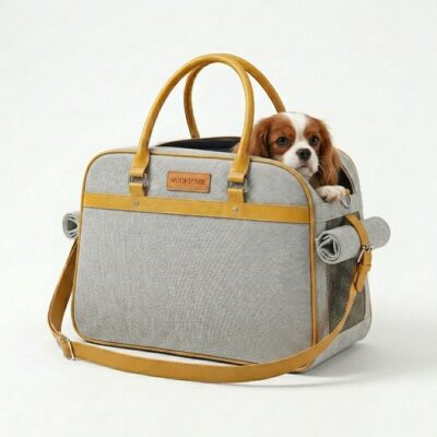 BOLSO TRANSPORTADOR DE DISEÑO