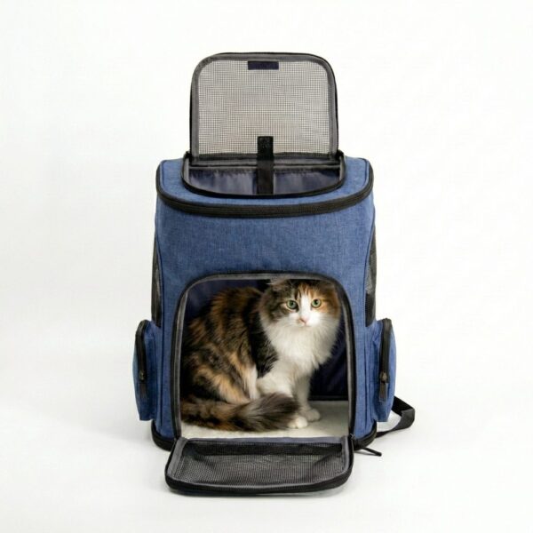 MOCHILA EXPANSIBLE 33X65X40 CM _MOD 2 /AZUL