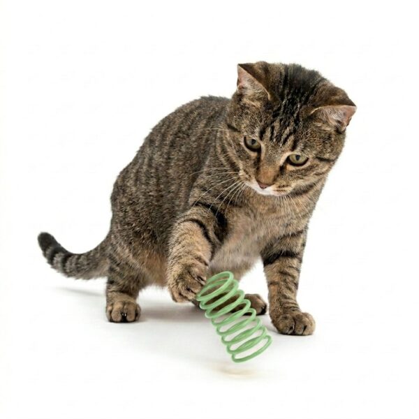 JUGUETE RESORTE PARA GATOS _3X6 CM /VERDE