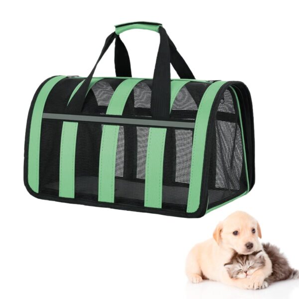BOLSO TRANSPORTADOR RAYADO PARA MASCOTAS BEEPAW _SMALL /VERDE