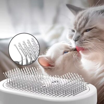 CEPILLO CON VAPOR Y CARDINA BEEPAW GROOM-E /BLANCO