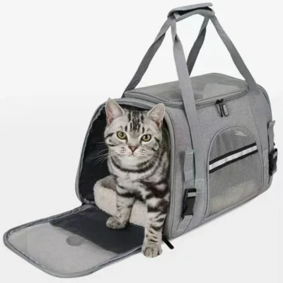 BOLSO TRANSPORTADOR PREMIUM PARA MASCOTAS BEEPAW /GRIS