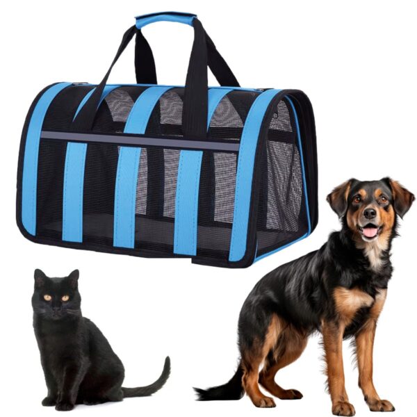 BOLSO TRANSPORTADOR RAYADO PARA MASCOTAS BEEPAW _BIG /AZUL