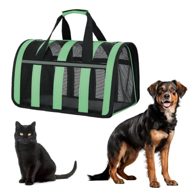 BOLSO TRANSPORTADOR RAYADO PARA MASCOTAS BEEPAW _BIG /VERDE