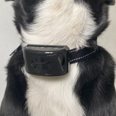 COLLAR ENTRENADOR PARA PERROS ANTI LADRIDO CON BATERIA /NEGRO