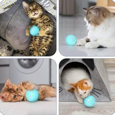 JUGUETE PELOTA INTELIGENTE BEEPAW BALL-E _PEQUEÑO /AZUL