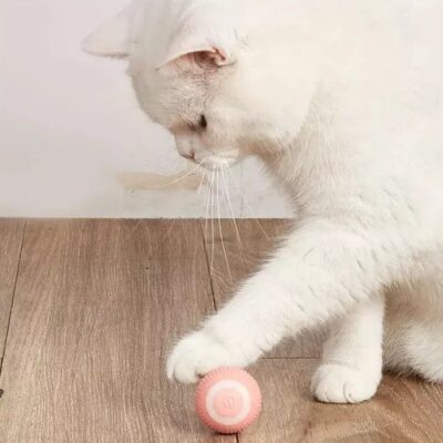 JUGUETE PELOTA INTELIGENTE BEEPAW BALL-E _PEQUEÑO /ROSA
