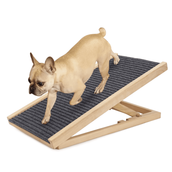 RAMPA PARA MASCOTAS BEEPAW