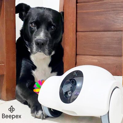 JUGUETE ROBOT CON CAMARA Y MANDO A DISTANCIA CON DISPENSER DE COMIDA /BLANCO