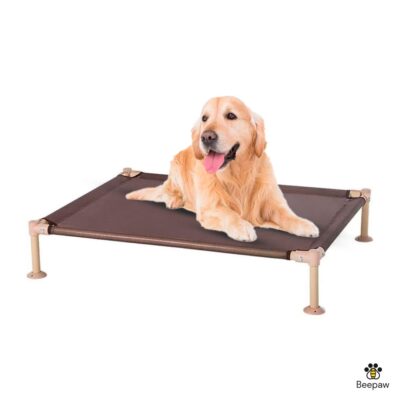 CAMA EN ALTURA MALLADA PARA PERROS _90X71X18 CM