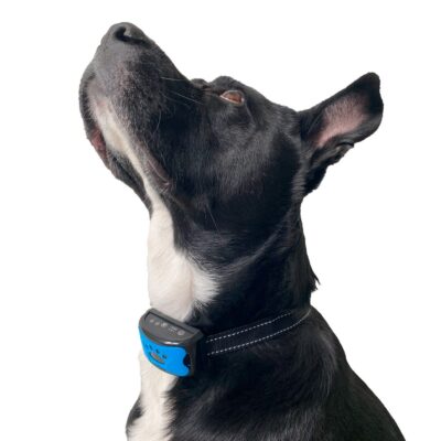 COLLAR ENTRENADOR PARA PERROS ANTI LADRIDO CON BATERIA /AZUL