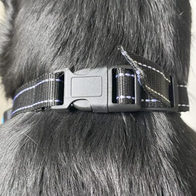 COLLAR ENTRENADOR PARA PERROS ANTI LADRIDO CON BATERIA /NEGRO