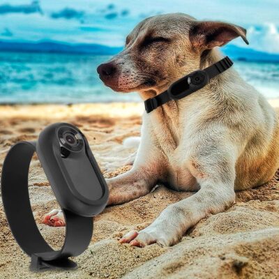 CAMARA HD CON COLLAR PARA MASCOTAS BEEPAW /BLANCO